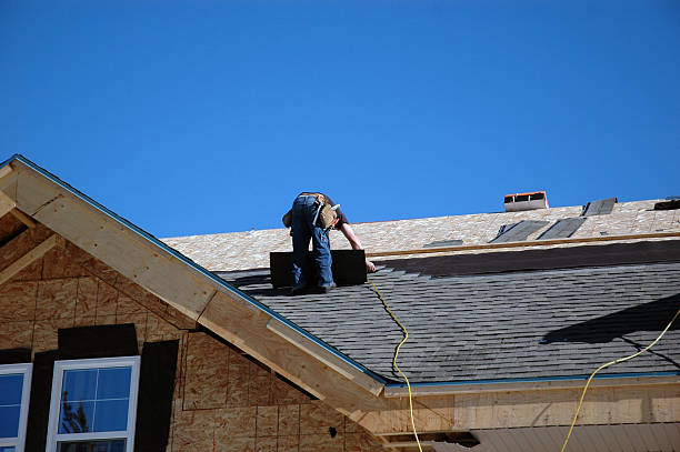 Best Roof Repair Services  in South Shore, KY