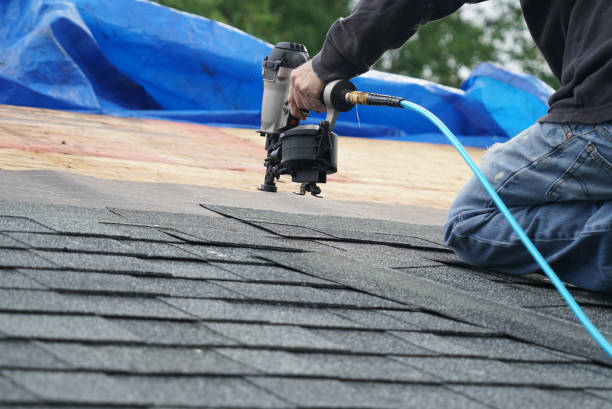 Best Storm Damage Roof Repair  in South Shore, KY