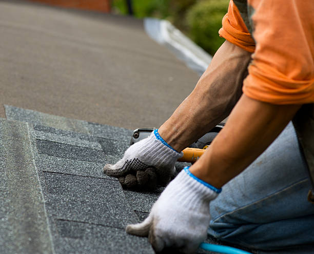 Roof Gutter Cleaning in South Shore, KY