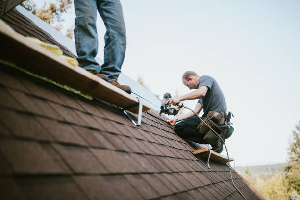 Quick and Trustworthy Emergency Roof Repair Services in South Shore, KY